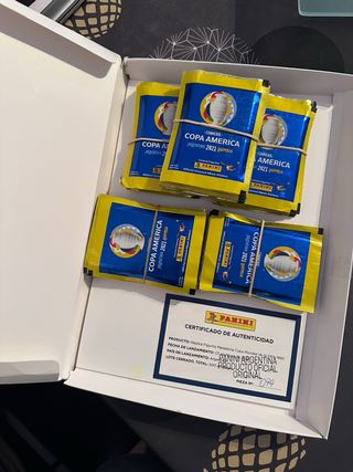 Diego Armando Maradona “Panini Special Signed”