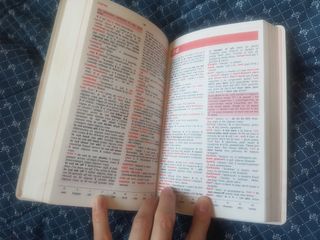 Dictionary Oxford Pocket Cat/Ing