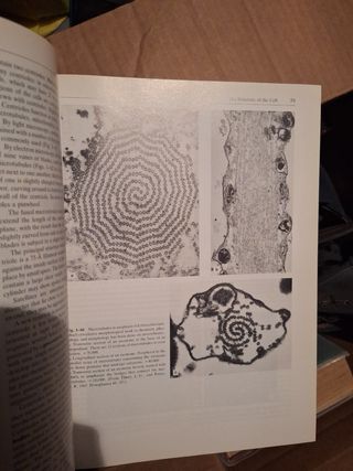 Cell and Tissue Biology: A Textbook of Histology