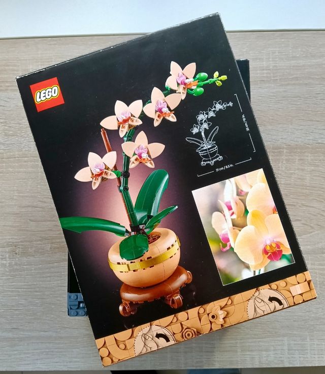 Lego Botanicals 10343 + 10369