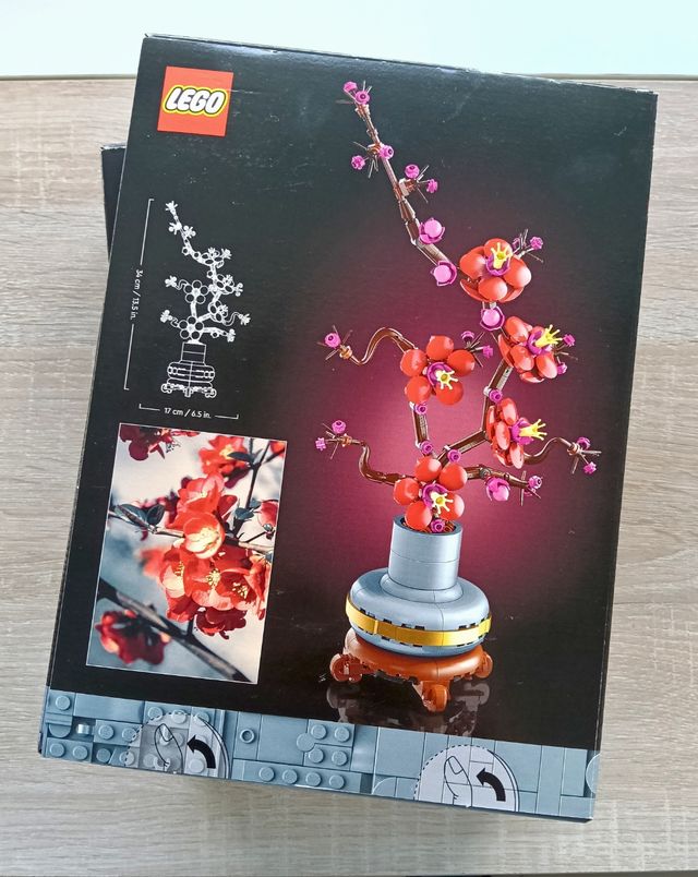 Lego Botanicals 10343 + 10369