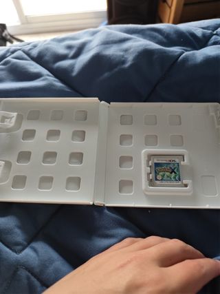 Pokémon X
