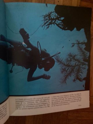 Vetrina softo le onde di Jacques Costeau