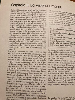 Vetrina softo le onde di Jacques Costeau