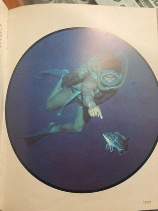 Vetrina softo le onde di Jacques Costeau