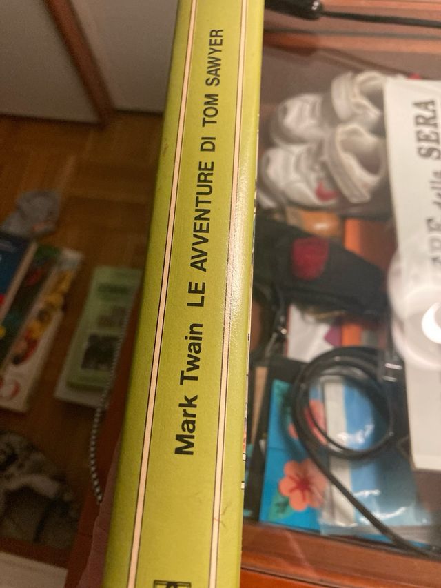 Le avventure di Tom Sawyer