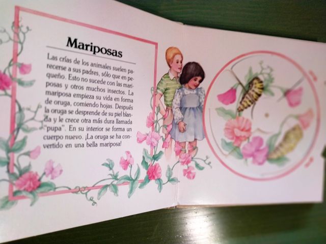 SORPRESAS DE LA NATURALEZA Libro PopUp de 1/4 años