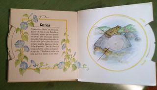 SORPRESAS DE LA NATURALEZA Libro PopUp de 1/6 años