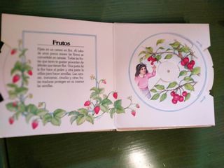 SORPRESAS DE LA NATURALEZA Libro PopUp de 1/6 años