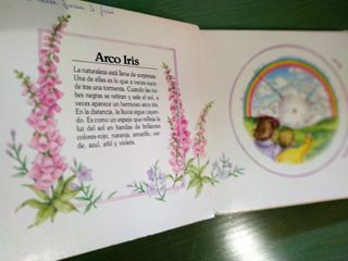 SORPRESAS DE LA NATURALEZA Libro PopUp de 1/6 años