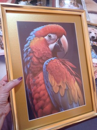 Cuadros Animales Época 