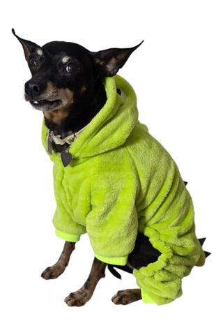 Vestito da dinosauro taglia L per cani e gatti