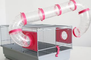 Jaula para hámster ruso y roborowsky