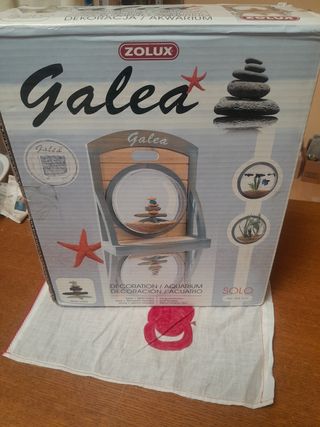 Bellissimo addobbo acquario