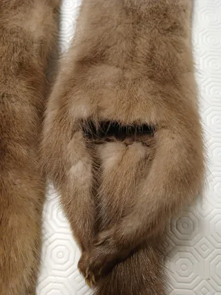 Sciarpa (collo) di volpe