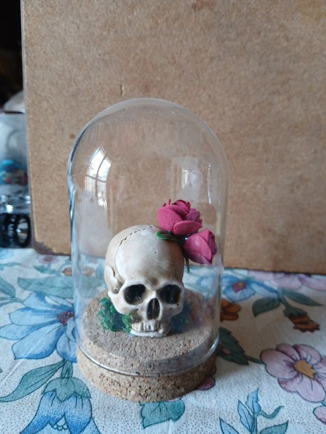 Vecchio MEMENTO MORI in teca