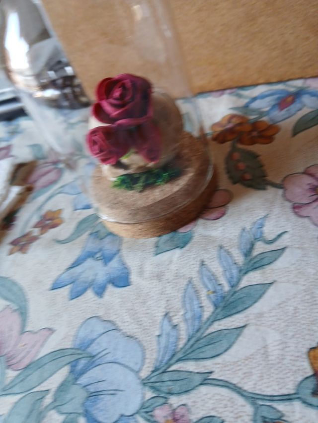 Vecchio MEMENTO MORI in teca