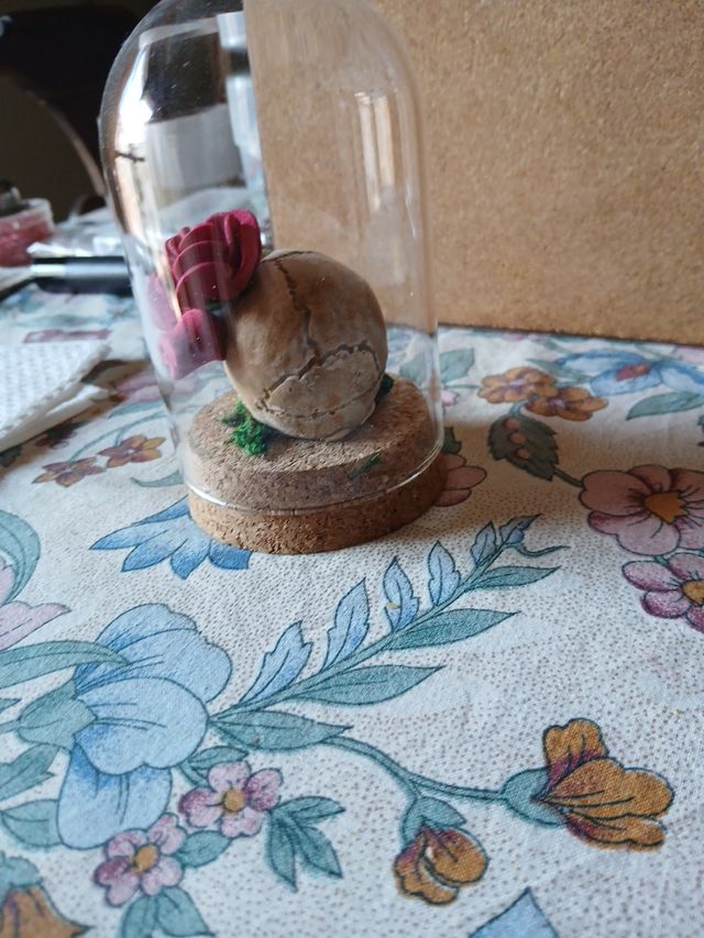 Vecchio MEMENTO MORI in teca