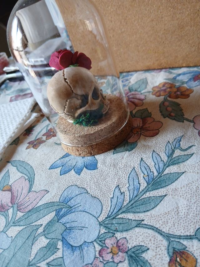 Vecchio MEMENTO MORI in teca