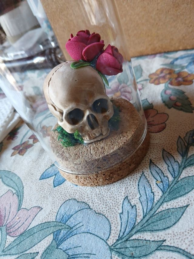 Vecchio MEMENTO MORI in teca