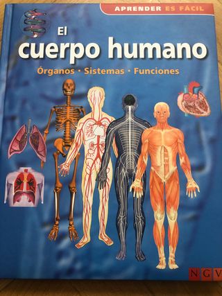 Libro niño adolescente El cuerpo Humano