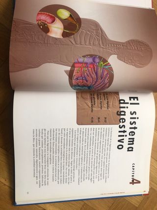 Libro niño adolescente El cuerpo Humano