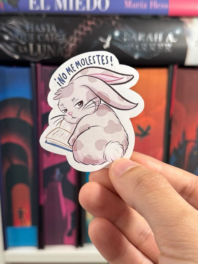 Rabbits Stickers /Books