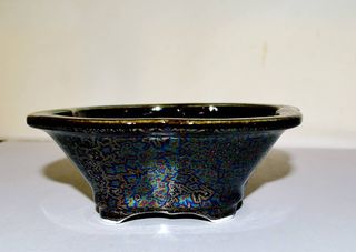 Maceta de Bonsai HEIAN SENZAN. 15.3 X 14 X 5.5 cm.