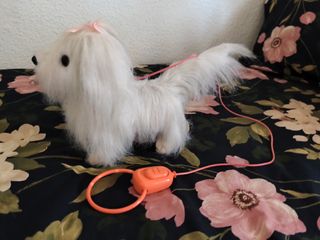 Perro para pasear de juguete