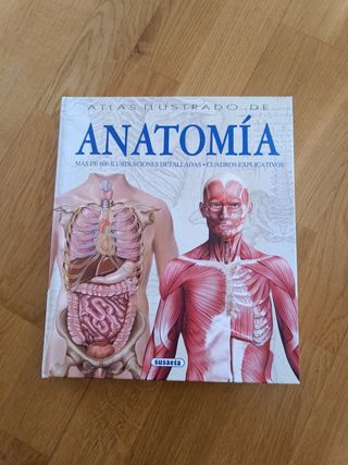 Atlas ilustrado de anatomía (Spanish Edition)
