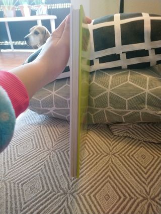 Historias en Francés para niños/niñas