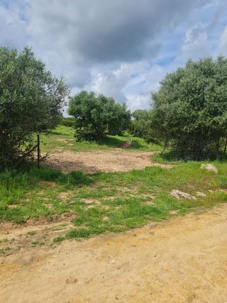 Venta de terreno en Gerena sevilla