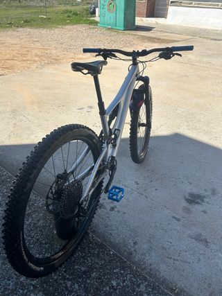 Specialized stumjumper evo