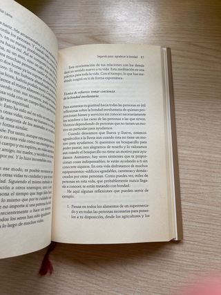 Los siete pasos hacia el amor