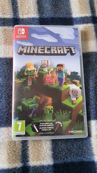 Minecraft Switch
