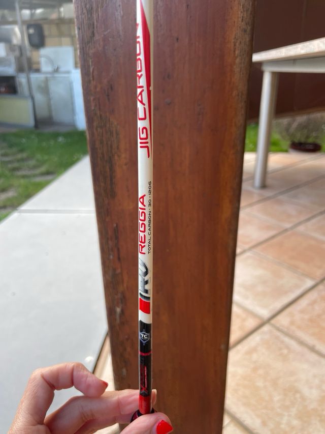 Caña pescar renzo valdieri reggia