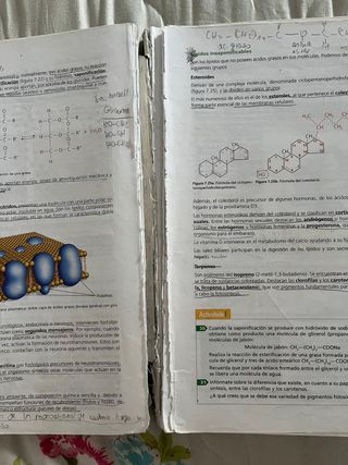 Inicia Biología 1.º Bachillerato. Libro