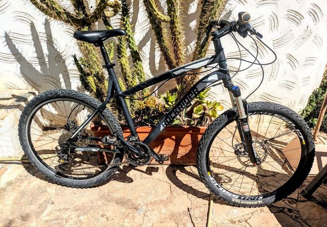 Bicicleta de montaña