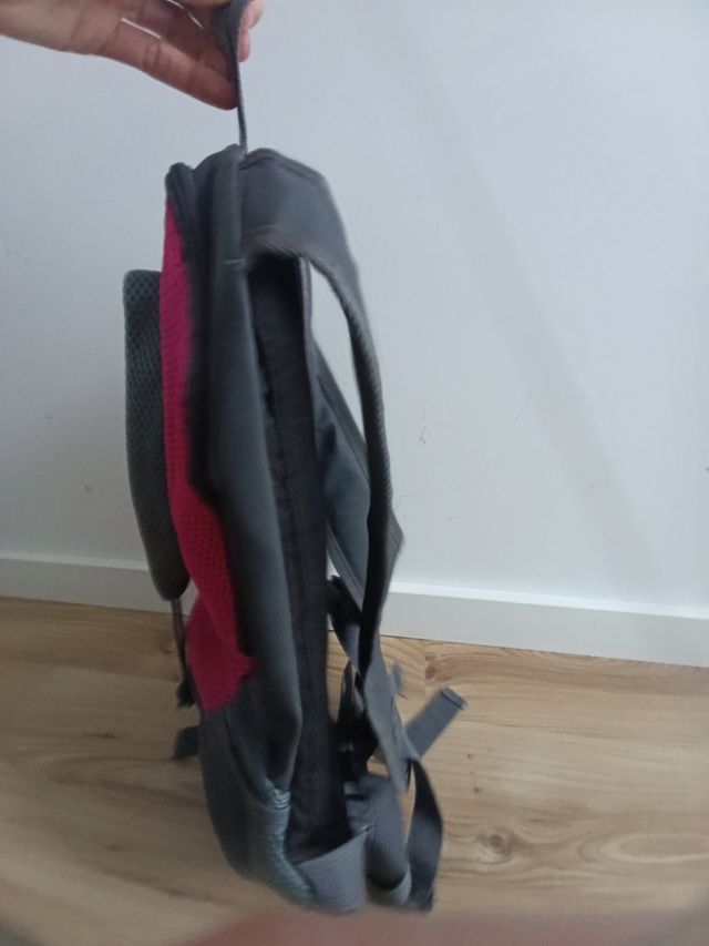 Mochila transporting perro