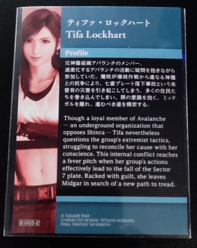 Final Fantasy VII Art Museum 2-003-2 TIFA