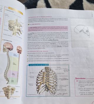 Libro Anatomía Aplicada