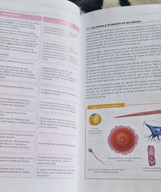 Libro Anatomía Aplicada