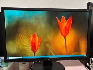 Monitor pc 24” HP