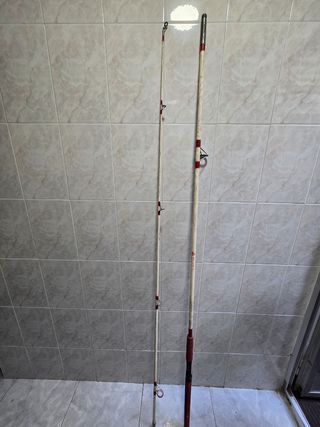 Caña de pesca