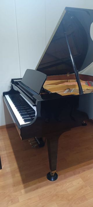 VENDO PIANO DE COLA