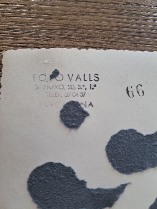 Foto veterano division azul