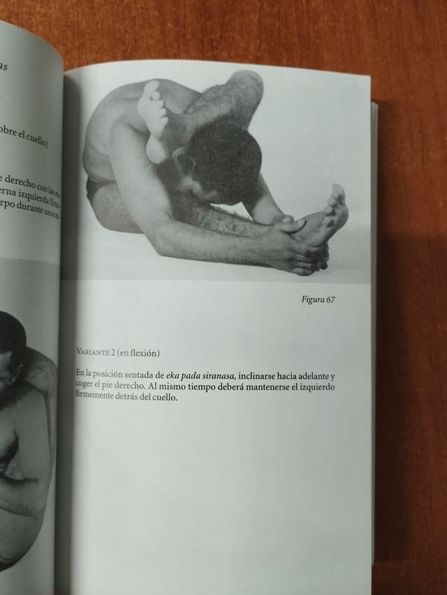 El libro de Yoga