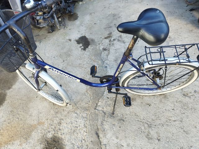 Bicicleta de paseo