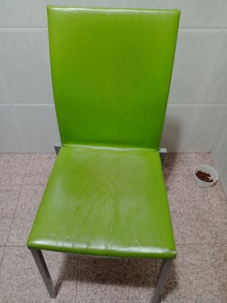 Siilas