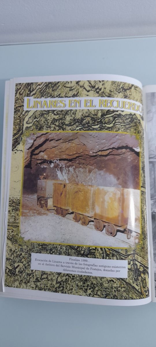 Programas de Feria de Linares